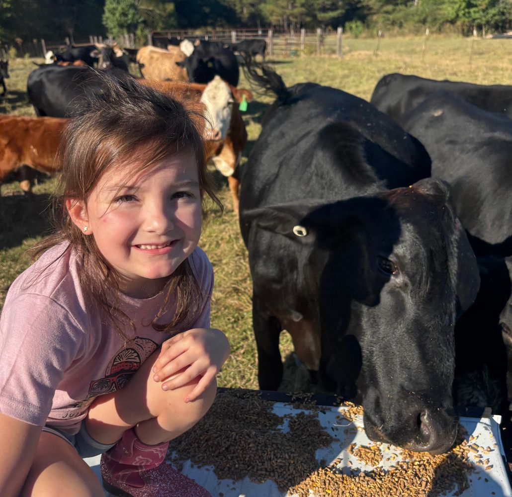 IMG_2997.jpg