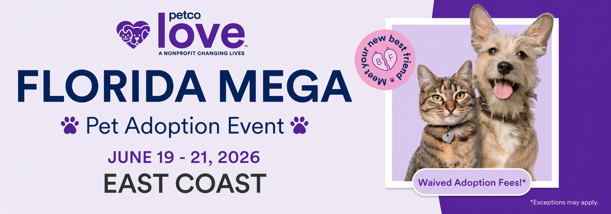 2026 Mega East Florida Banner.png