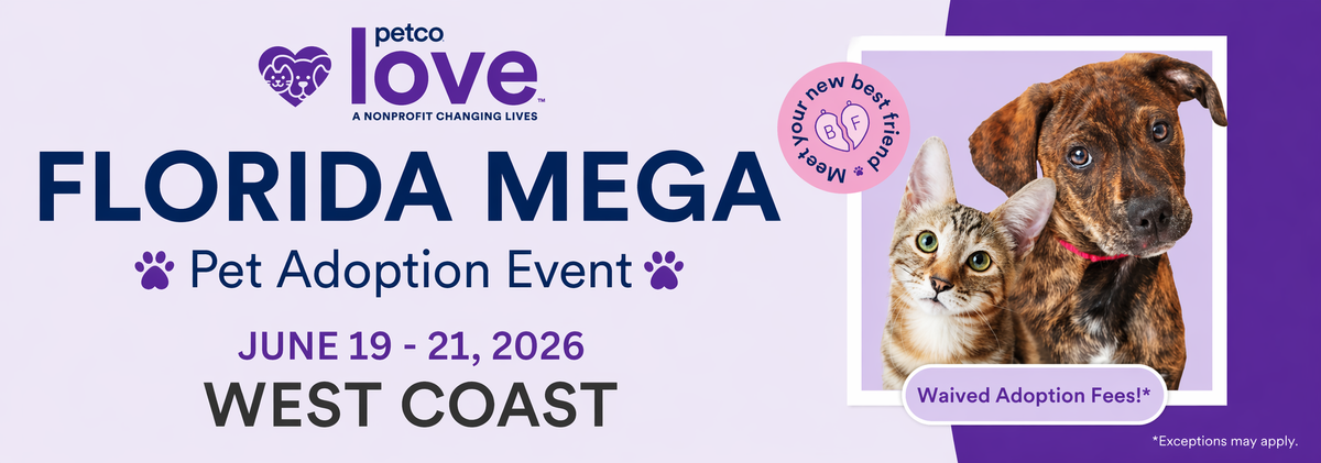 2026 Mega West Florida Banner.png