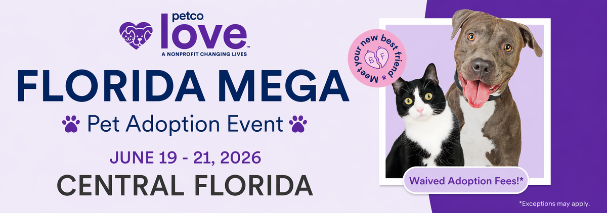 2026 Mega Central Florida Banner.png