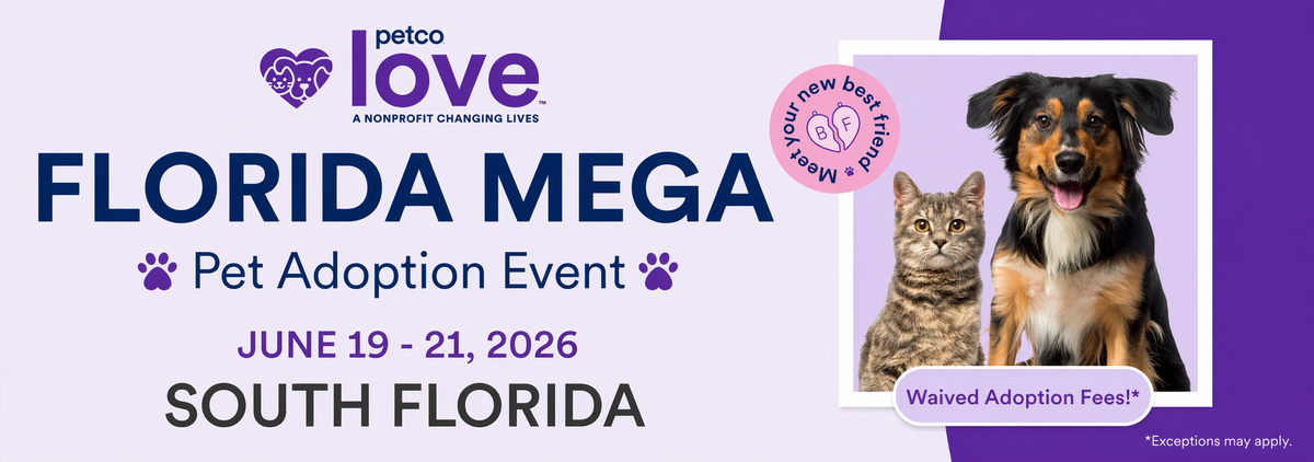 2026 Mega South Florida Banner.png