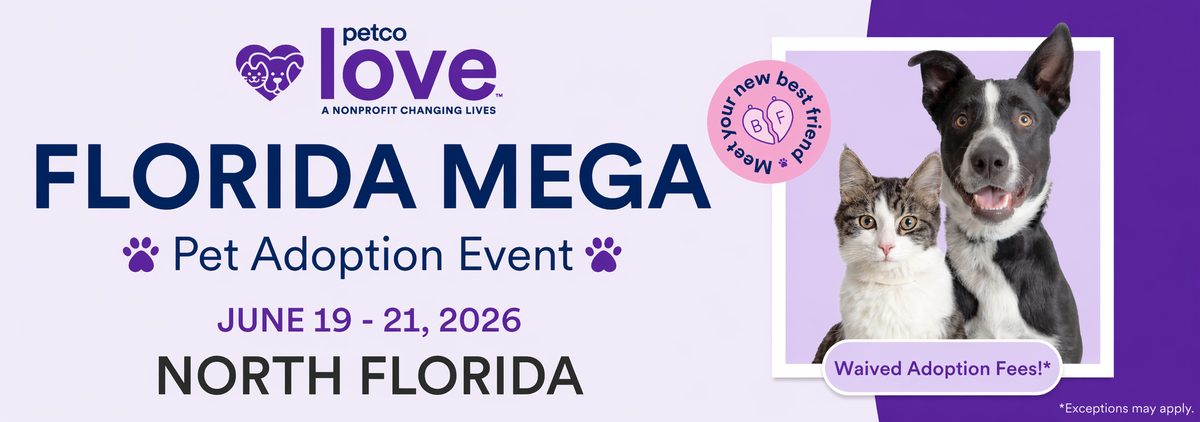 2026 Mega North Florida Banner.png