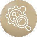 magnifying glass and cancer cell icon