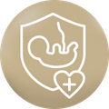 baby with umbilical cord in shield, heart with plus sign — prenatal icon