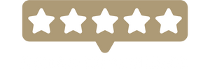 5 star experience icon