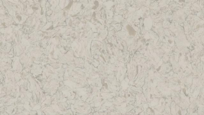 CSW Customer Insights.png