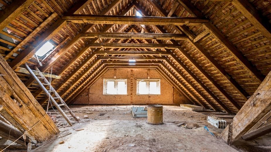 Attic Decontamination & Rodent Exclusion Temecula