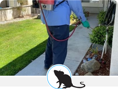 Pest Control