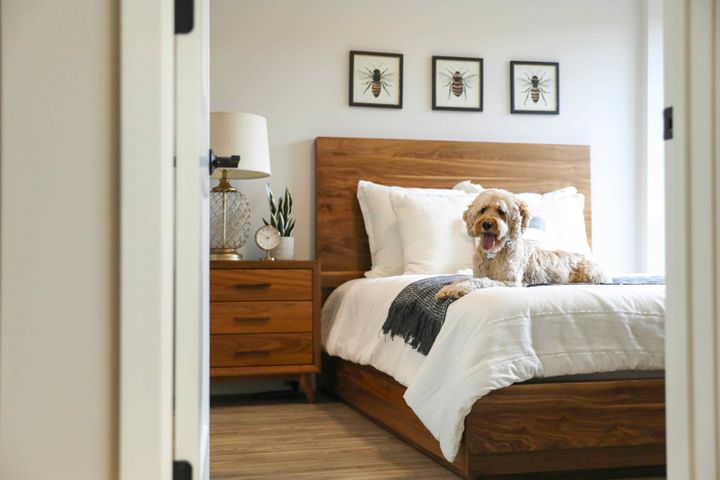 B7 Flats Gallery Pic 15.jpeg