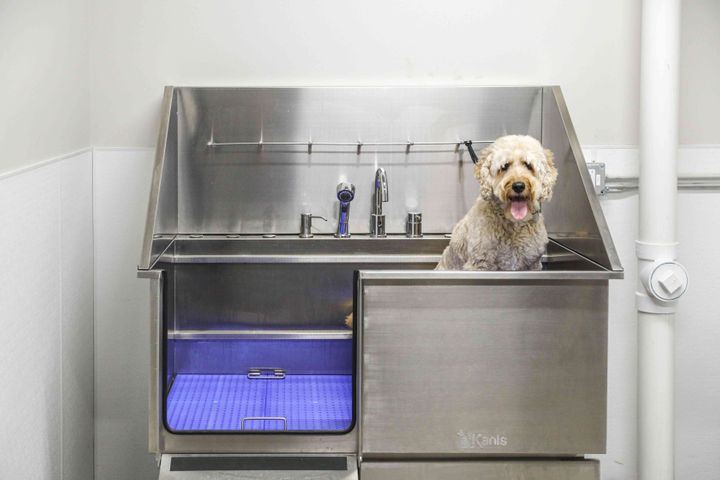 B7 Flats Gallery Pic 19.jpeg