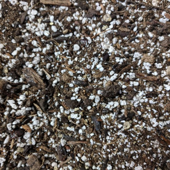 compost with vermiculite