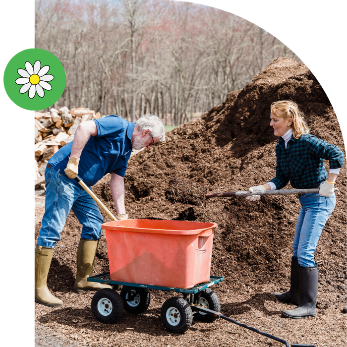 couple unloading mulch