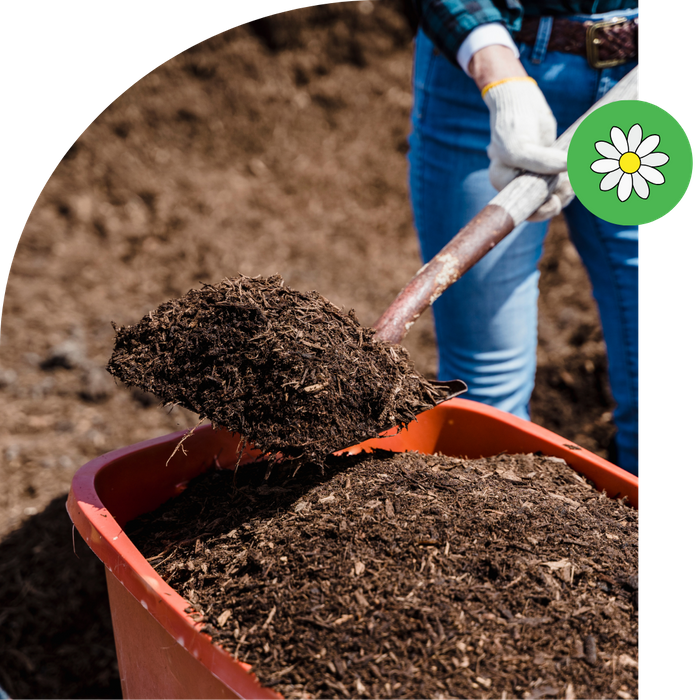 person shoveling compost/mulch