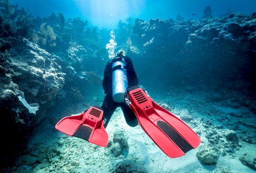 SDI-Diver-in-Ocean-Photo-15.jpg