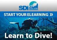 Learn-to-Dive-1.jpg
